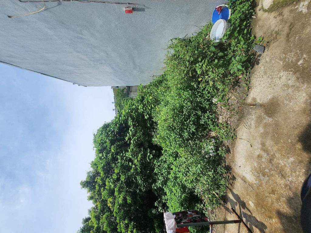 Bán nhà Đông Thiên - diện tích 55m2 1 tầng - ô tô đỗ trước đất - giá 2,5 tỷ