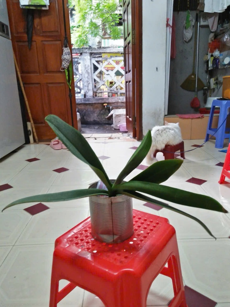 Bán nhà Triệu Việt Vương - diện tích 15m2 1 tầng - Nhà đẹp hiếm có - giá 15 tỷ