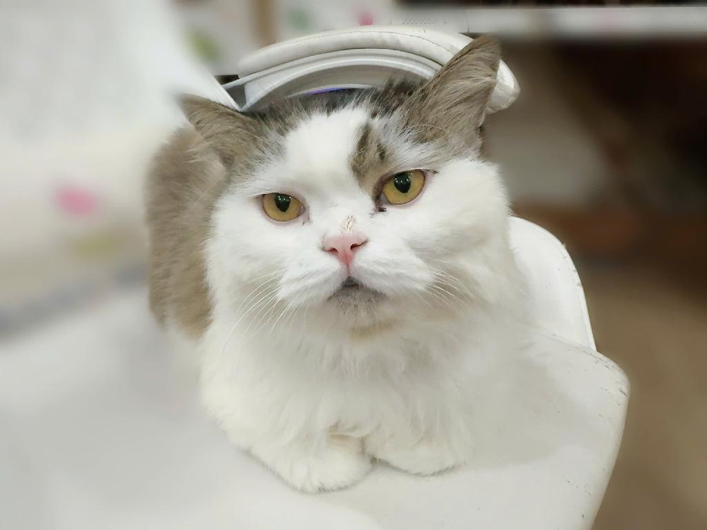 Bán nhà Đê La Thành nhỏ - diện tích 44,1m2 4 tầng - Lô góc, ô tô đỗ cửa - giá 16,8 tỷ