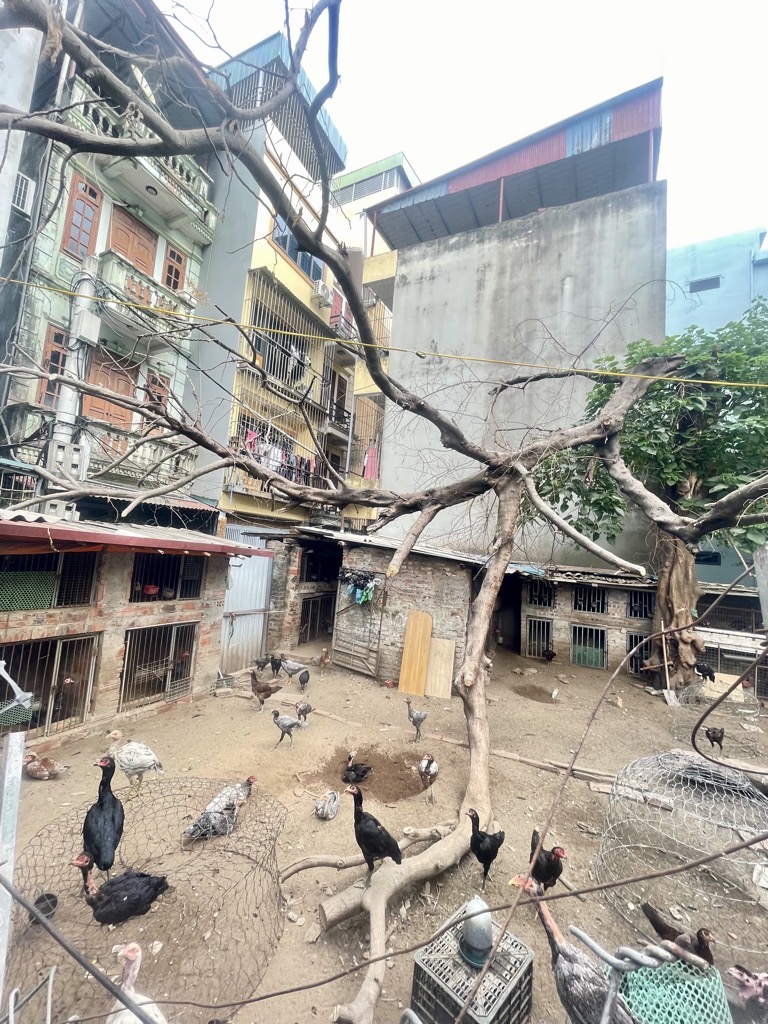 Bán nhà Kim Giang - diện tích 179m2 1 tầng - Mảnh đất vàng siêu đẹp - giá 9,35 tỷ