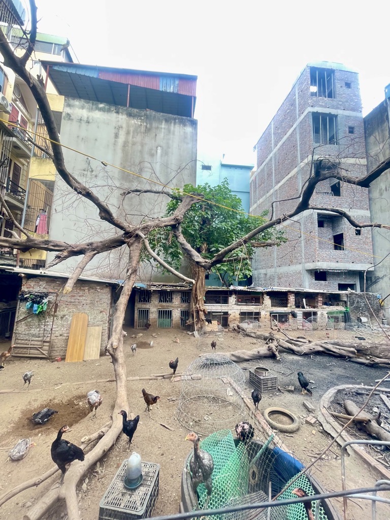 Bán nhà Kim Giang - diện tích 179m2 1 tầng - Mảnh đất vàng siêu đẹp - giá 9,35 tỷ