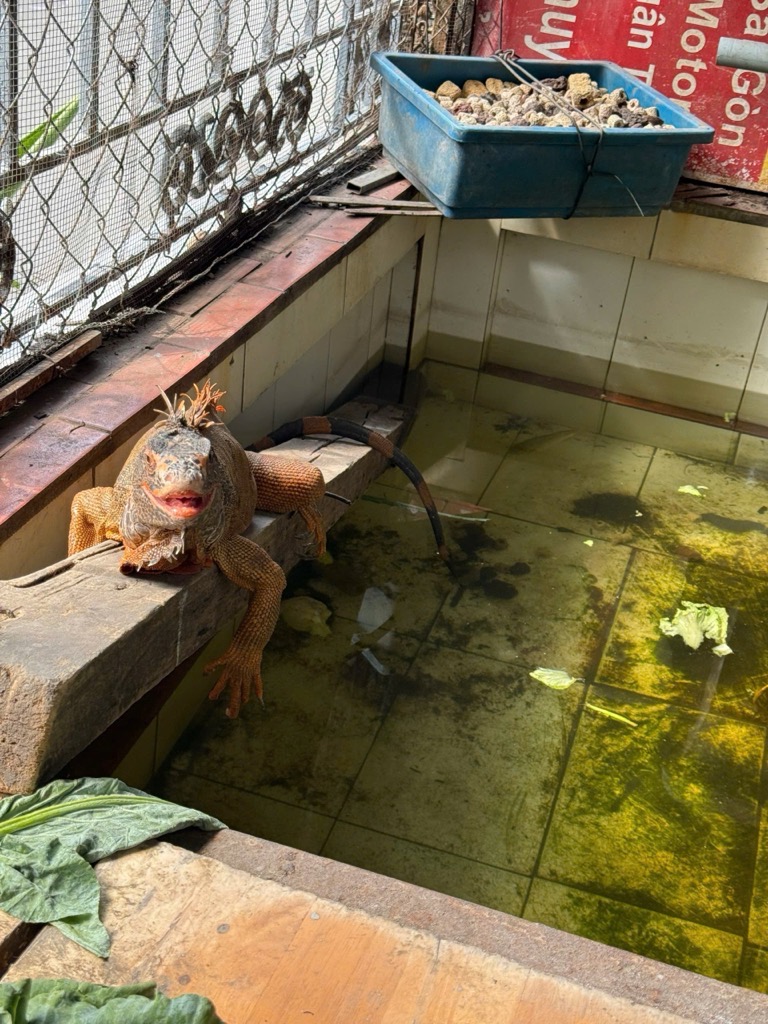 Bán nhà Nam Dư - diện tích 107.6m2 2 tầng - vị trí quá đẹp - giá 14 tỷ