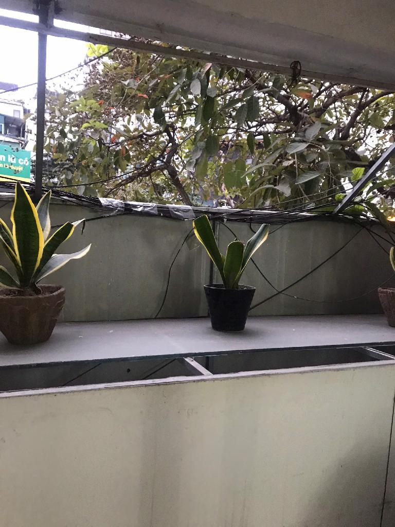 Bán nhà Tôn Đức Thắng - diện tích 14,9m2 2 tầng - Mặt phố kinh doanh tấp nập - giá 4,36 tỷ