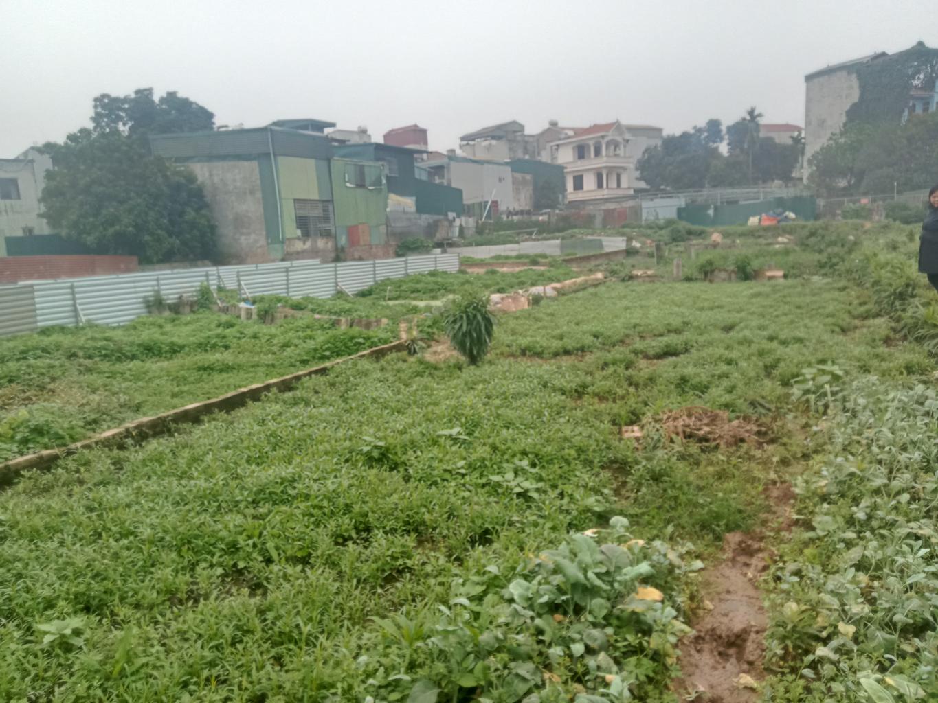 Bán nhà Định Công Hạ - diện tích 150m2 1 tầng - Nhà không sổ mua bán vi bằng - giá 1,8 tỷ