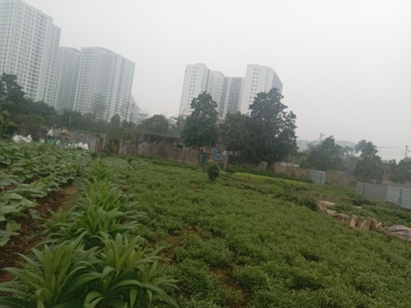 Bán nhà Định Công Hạ - diện tích 150m2 1 tầng - Nhà không sổ mua bán vi bằng - giá 1,8 tỷ