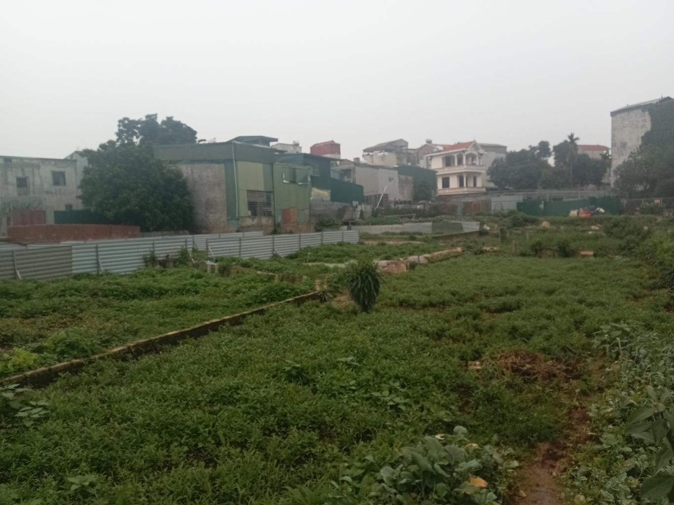 Bán nhà Định Công Hạ - diện tích 150m2 1 tầng - Nhà không sổ mua bán vi bằng - giá 1,8 tỷ