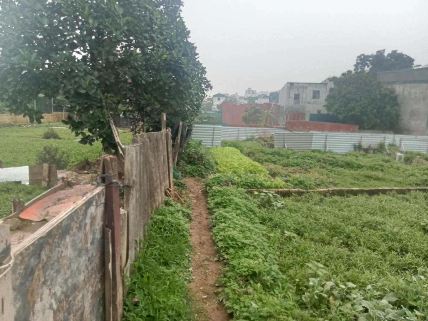 Bán nhà Định Công Hạ - diện tích 150m2 1 tầng - Nhà không sổ mua bán vi bằng - giá 1,8 tỷ