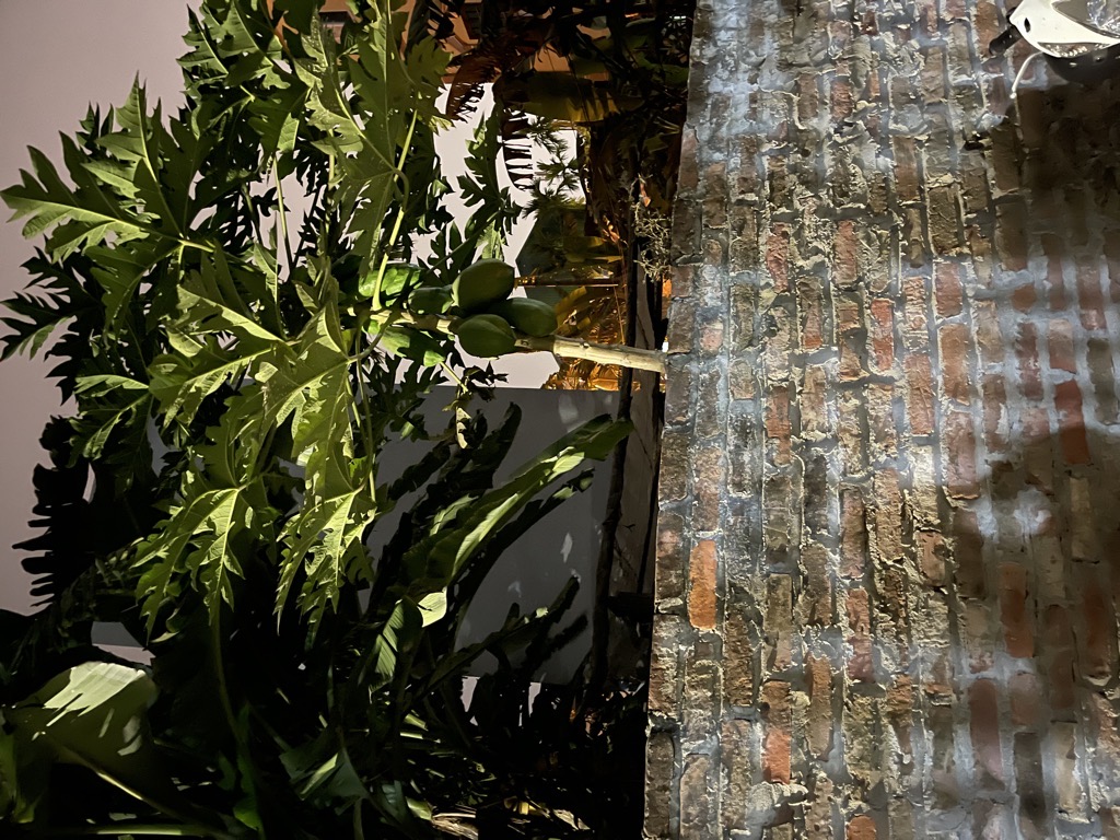 Bán đất Tình Quang, Giang Biên 42m2, Q. Long Biên – Giá 4,7 tỷ