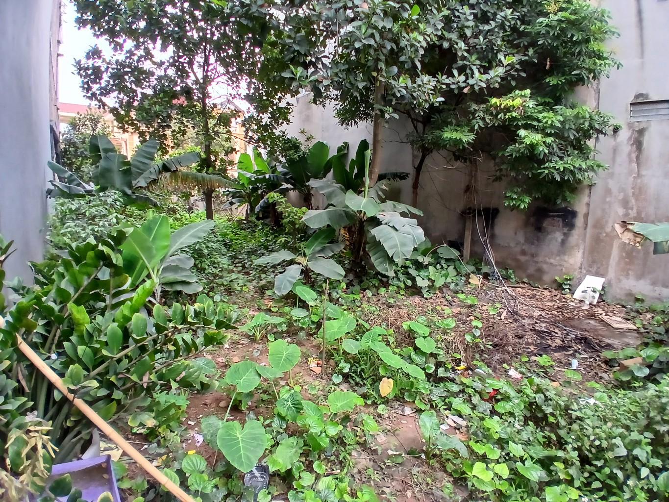 Bán nhà Thúy Lĩnh - diện tích 384,5m2 1 tầng - gần ô tô - giá 7,5 tỷ