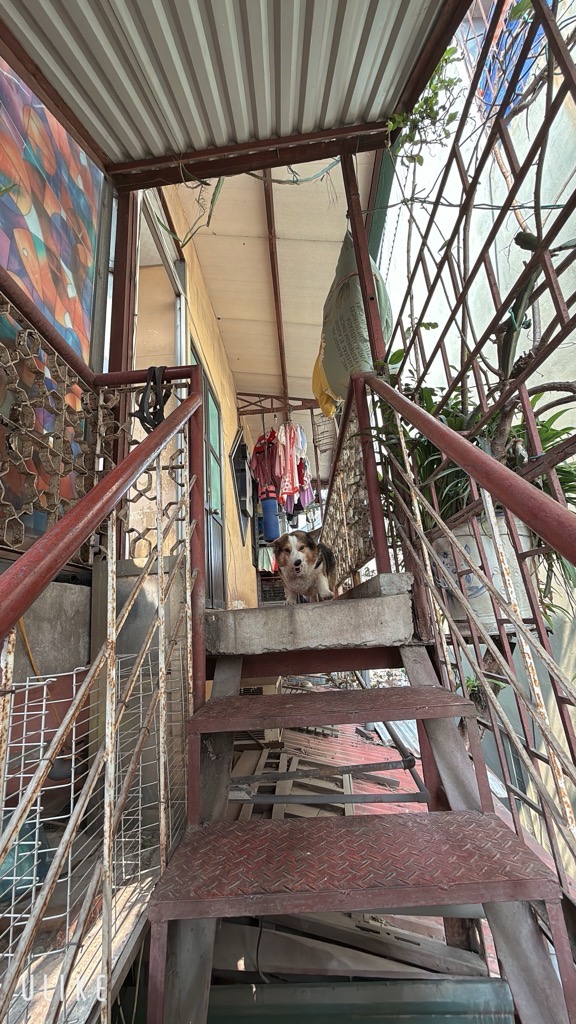 Bán nhà Vĩnh Hồ - diện tích 45.1m2 4 tầng - Mặt phố VIP Quận Đống Đa - giá 13 tỷ