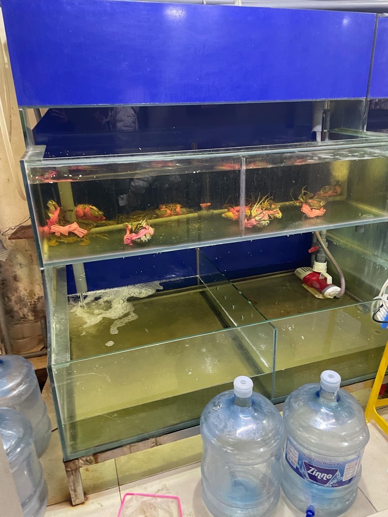 Bán nhà Đặng Văn Ngữ - diện tích 36.7m2 1 tầng - Tập thể tầng 1, mặt phố kinh doanh sầm uất - giá 12,4 tỷ