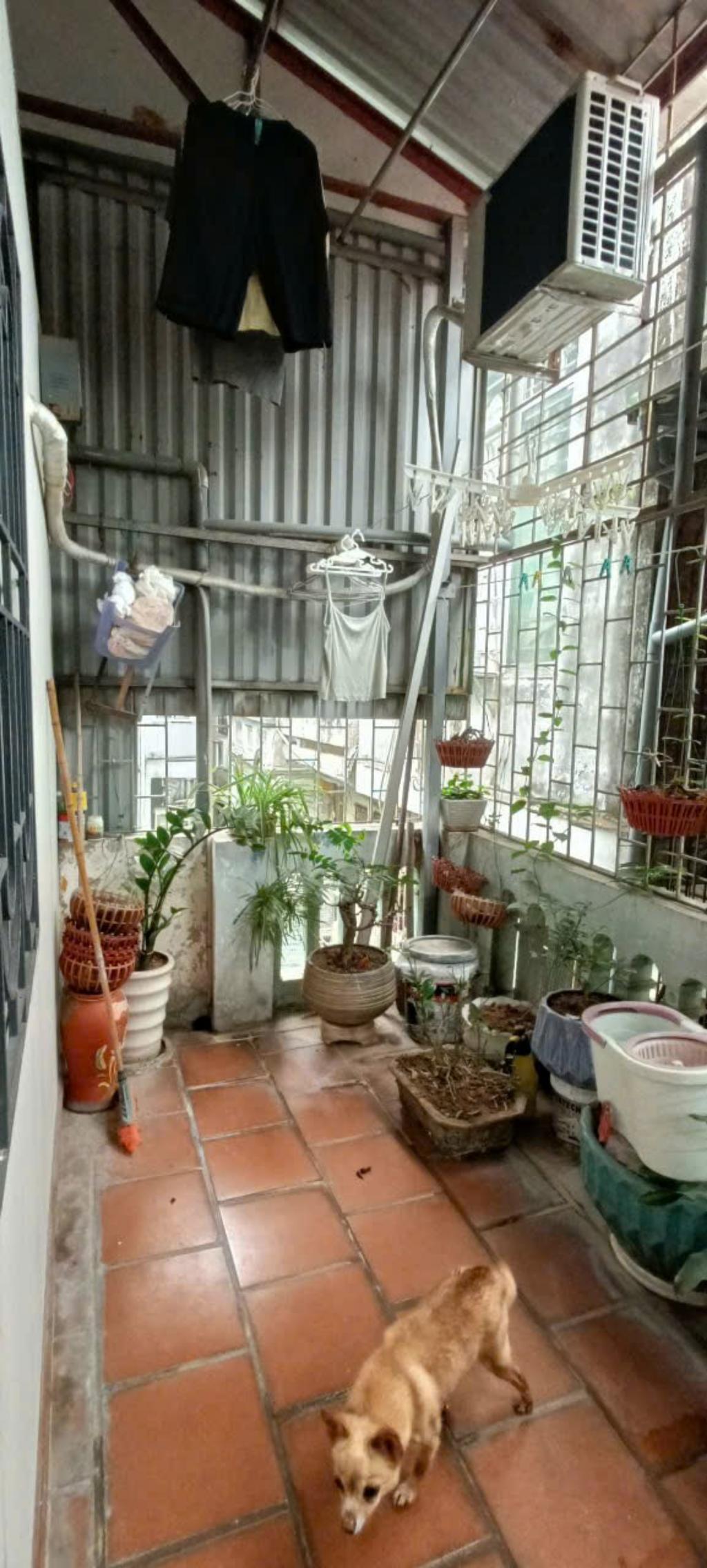 Bán nhà Lệnh Cư - diện tích 48.3m2 4 tầng - Mặt ngõ, kinh doanh - giá 9,9 tỷ