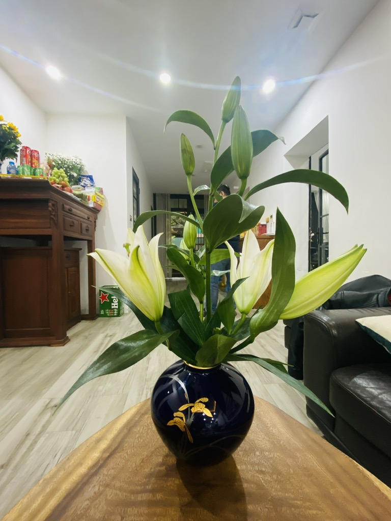 Bán nhà Chùa Láng - diện tích 44.5m2 1 tầng - Căn hộ tập thể sân vườn - giá 8 tỷ