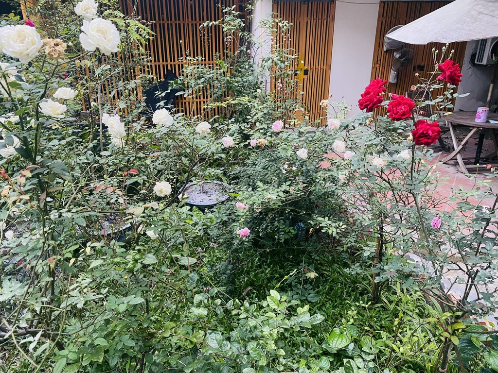 Bán nhà Chùa Láng - diện tích 44.5m2 1 tầng - Căn hộ tập thể sân vườn - giá 8 tỷ