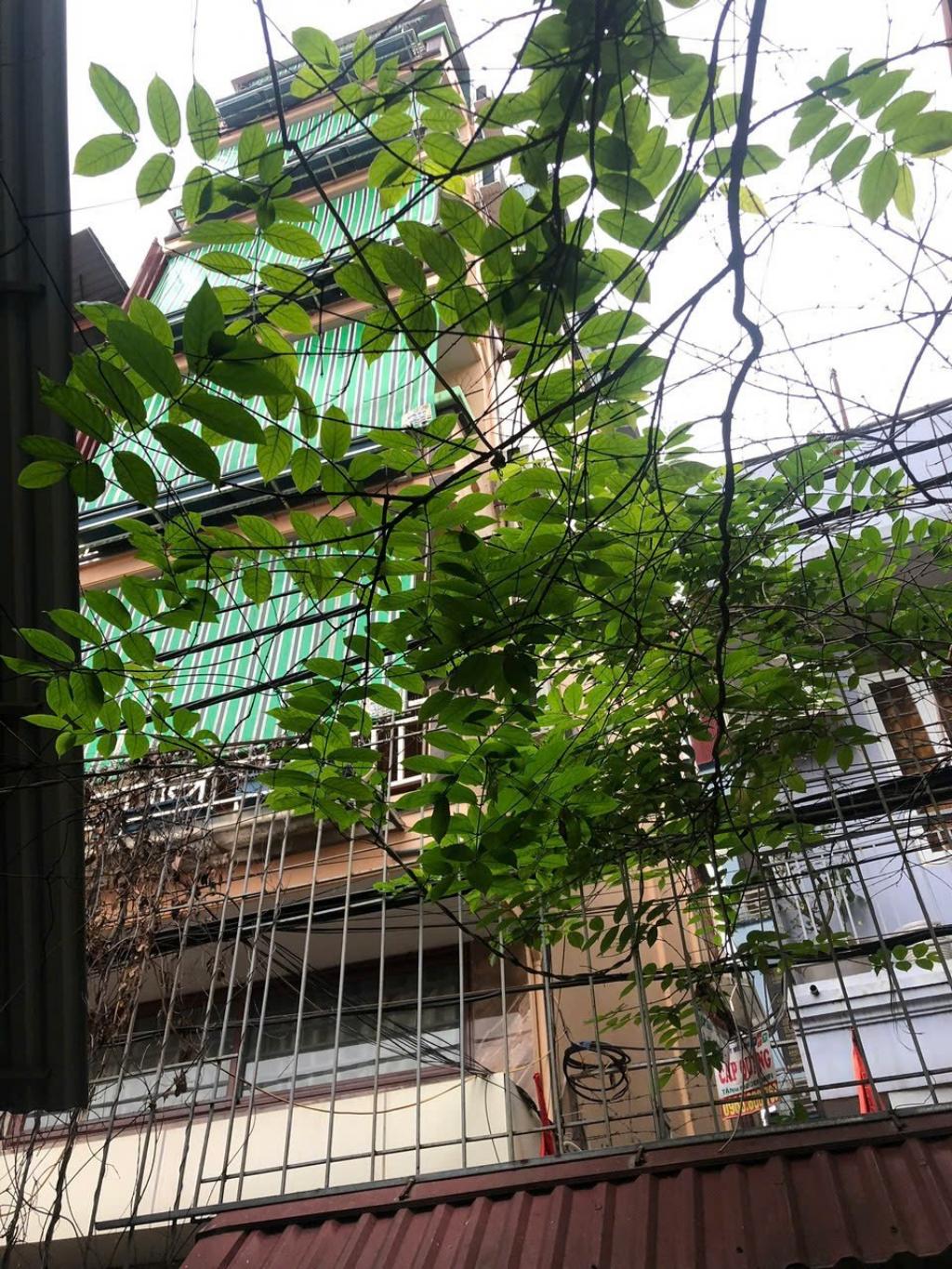 Bán nhà Định Công - diện tích 53m2 8 tầng - Lô góc - giá 15,75 tỷ