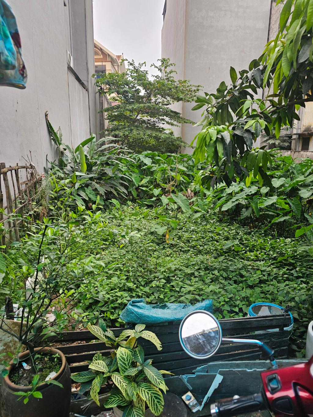 Bán nhà Vĩnh Hưng - diện tích 60m2 1 tầng - ô tô có thể đỗ cửa - giá 7,8 tỷ