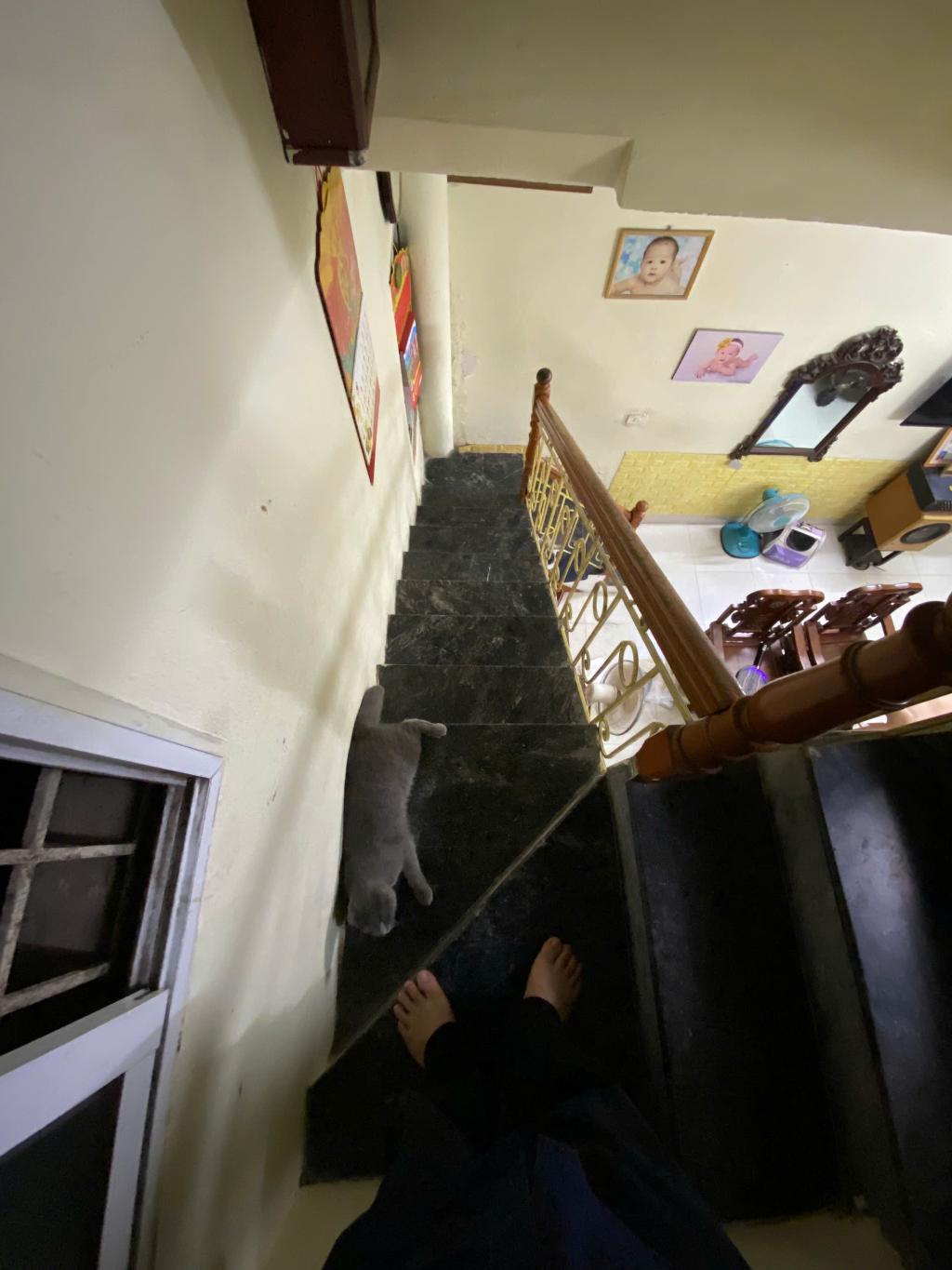 Bán nhà Ngõ quỳnh - diện tích 50m2 3 tầng - Mặt ngõ thông ô tô - giá 12,5 tỷ