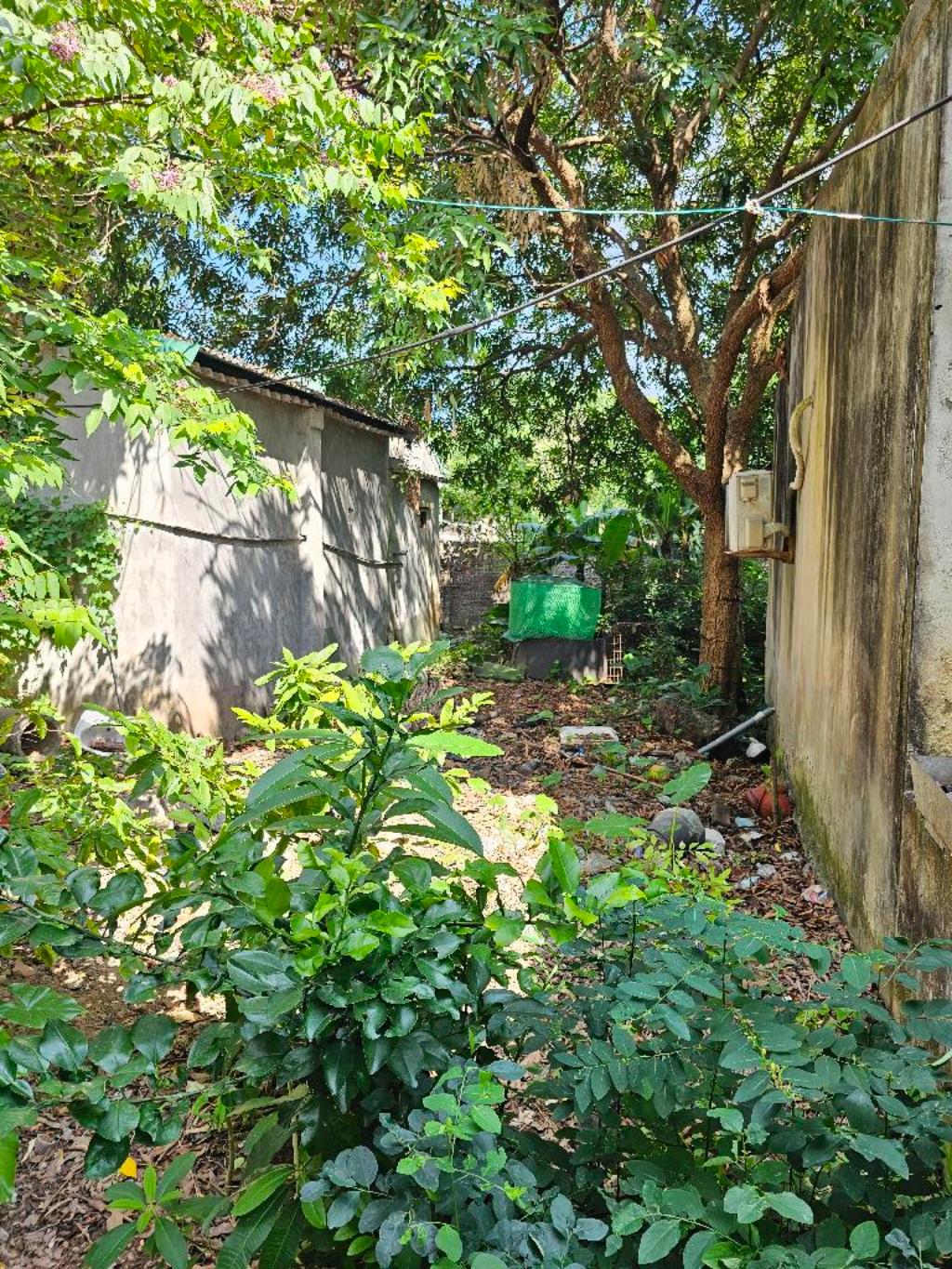 Bán nhà Thúy Lĩnh - diện tích 75m2 1 tầng - ô tô đỗ cửa - giá 8,8 tỷ