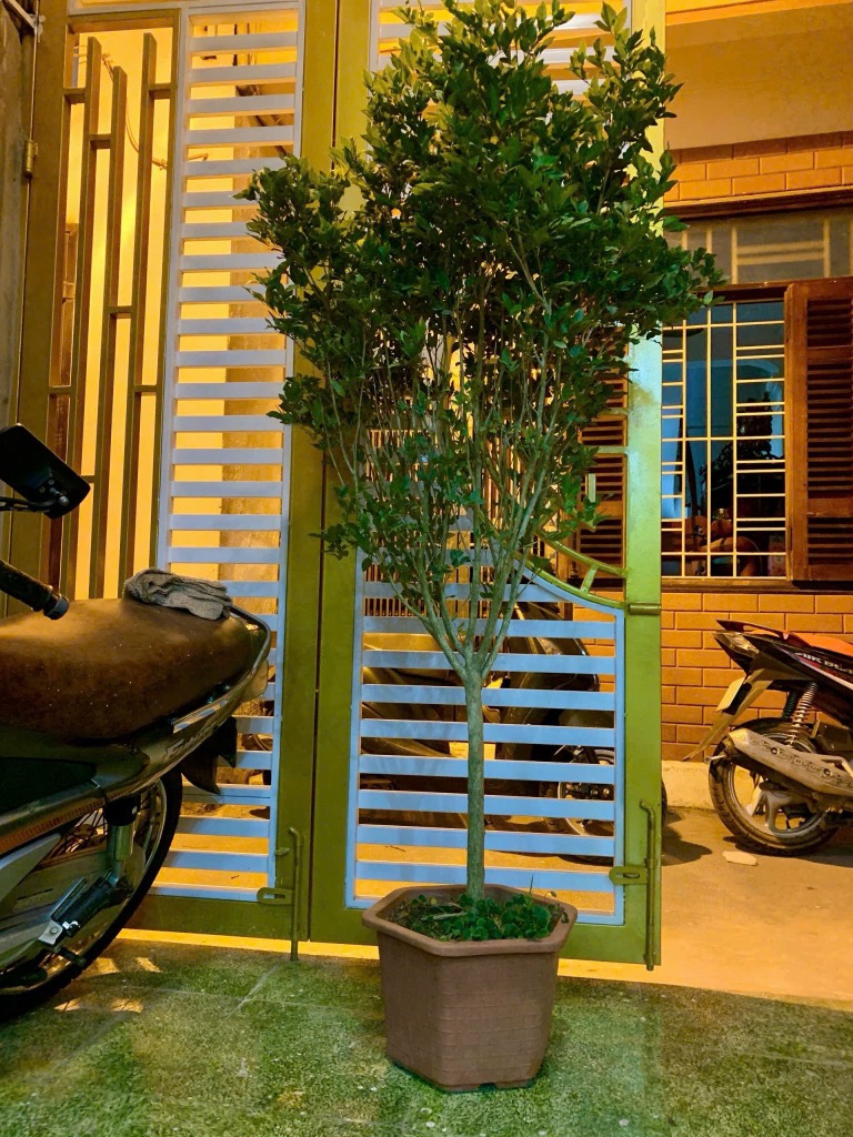 Bán nhà Nguyễn Lương Bằng - diện tích 48m2 3 tầng - BÁN ĐẤT TẶNG NHÀ - giá 15 tỷ