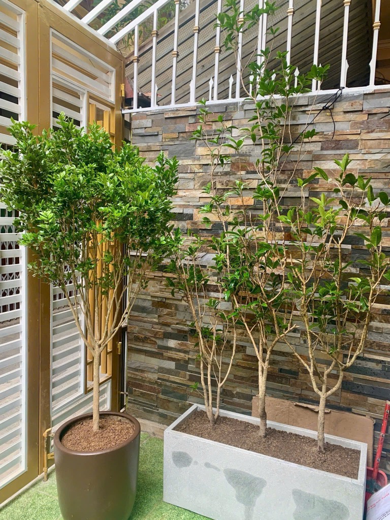 Bán nhà Nguyễn Lương Bằng - diện tích 48m2 3 tầng - BÁN ĐẤT TẶNG NHÀ - giá 15 tỷ