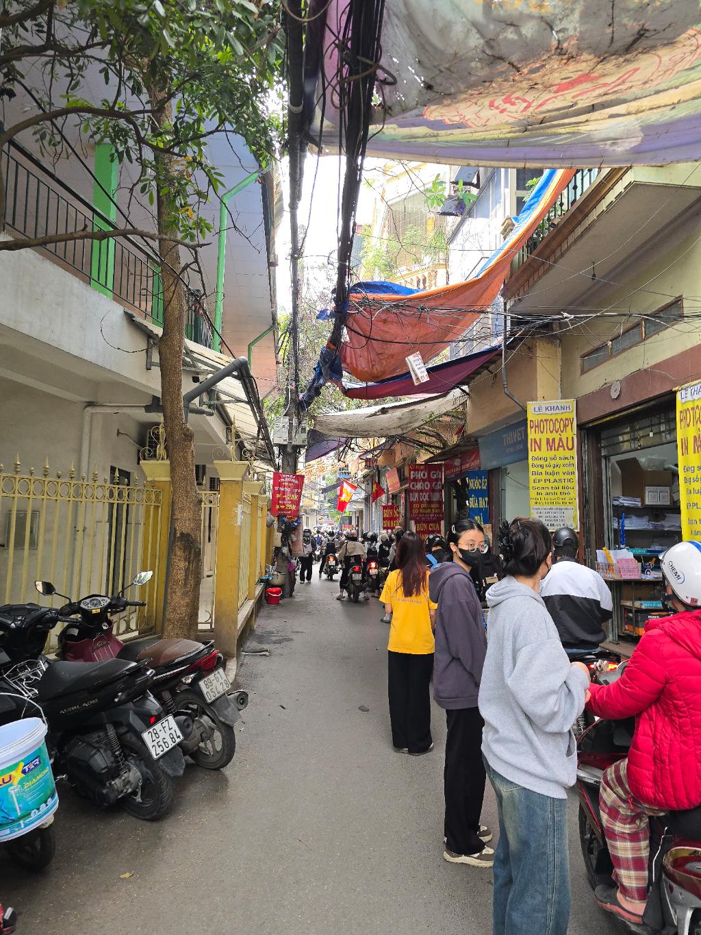 Ảnh đại diện