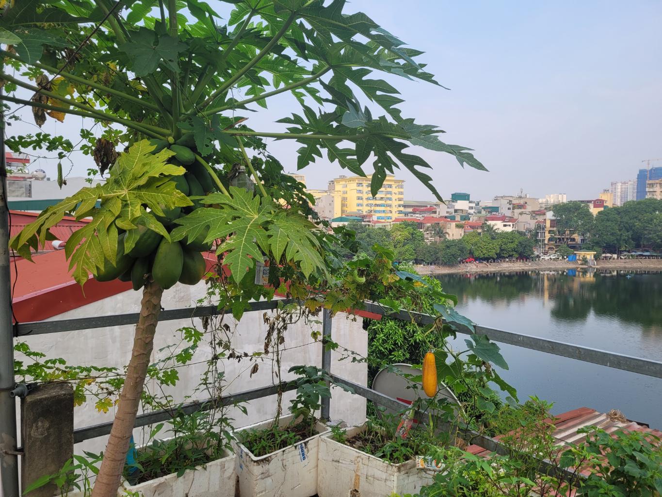 Bán nhà Lê Trọng Tấn - diện tích 53.2m2 5 tầng - 1 mặt hồ đầm sồi + 1 mặt ngõ - giá 19,5 tỷ