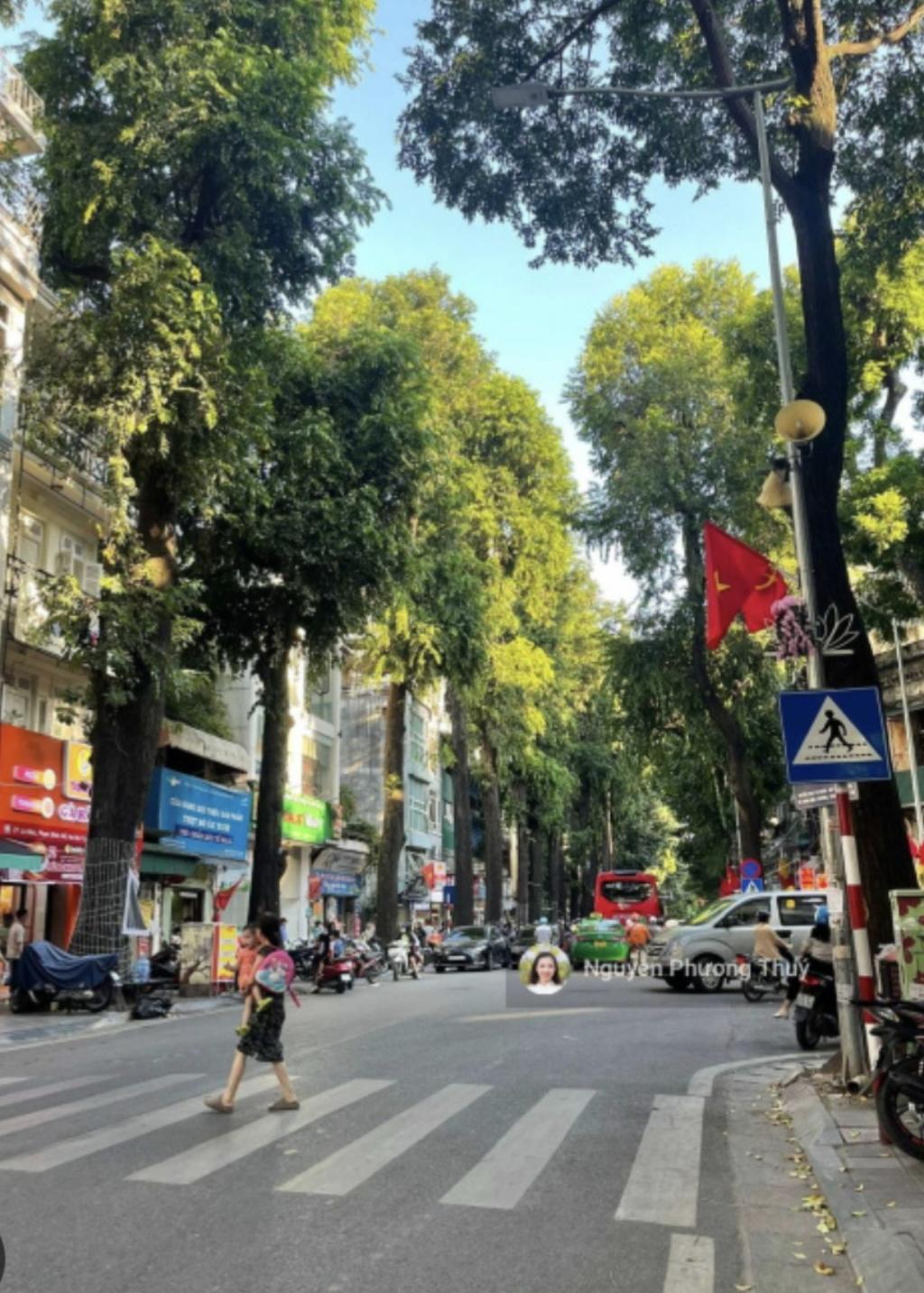 Bán nhà Lò Đúc - diện tích 35.6m2 1 tầng - MẶT PHỐ - KINH DOANH ĐỈNH - giá 12 tỷ