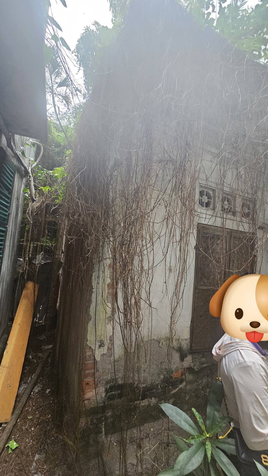 Bán nhà Tạ Quang Bửu - diện tích 57.4m2 1 tầng - Mảnh đất vàng - giá 12,5 tỷ