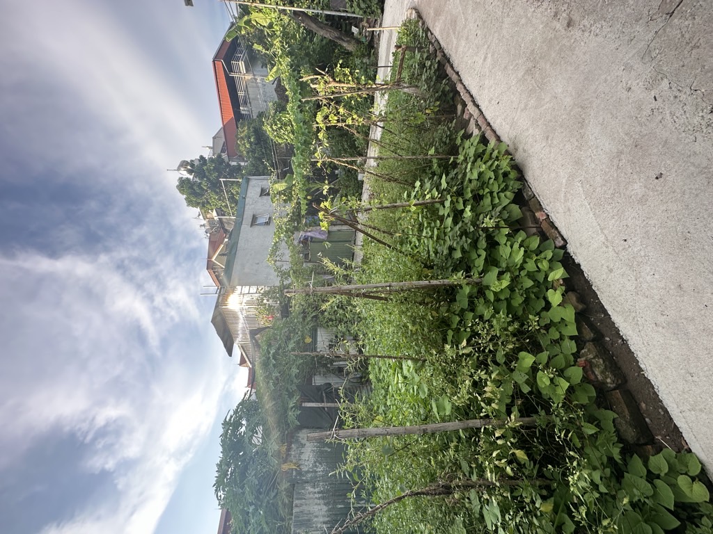 Bán nhà Lĩnh Nam - diện tích 64m2 1 tầng - lô góc mặt tiền khủng - giá 2,5 tỷ