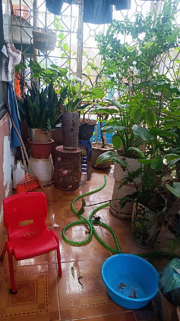 Bán nhà Trần Quý Cáp - diện tích 26m2 4 tầng - LÔ GÓC 3 THOÁNG - giá 8,3 tỷ