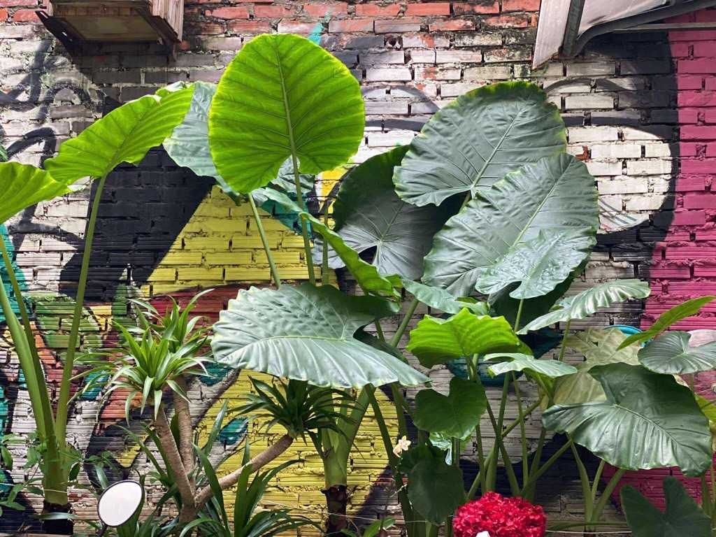 Bán nhà Đại La - diện tích 37.2m2 3 tầng - Ngõ thông, thoáng - giá 8,5 tỷ