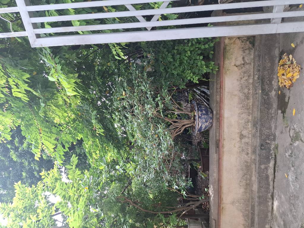 Bán nhà Nguyễn Khoái - diện tích 231m2 1 tầng - ngõ 553 - giá 17 tỷ