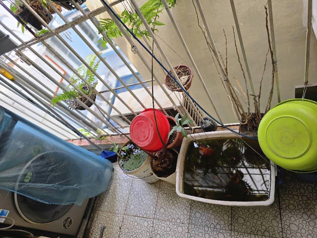 Bán nhà Tân Mai - diện tích 21m2 3 tầng - nhà chưa sổ - giá 3 tỷ