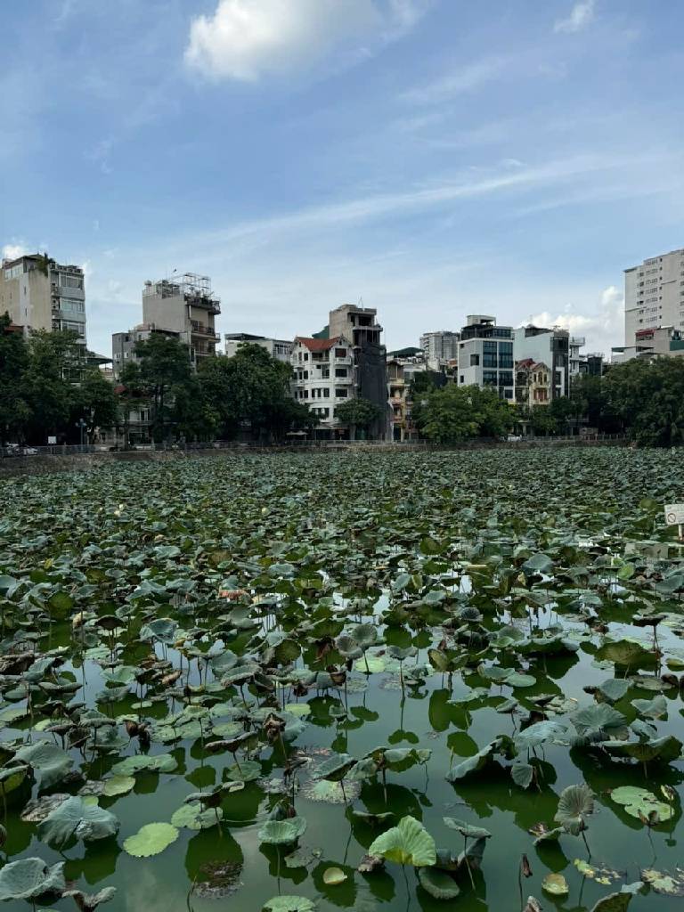 Bán nhà Phan Đình Giót - diện tích 34m2 5 tầng - Mặt ngõ thông ô tô - giá 8,4 tỷ