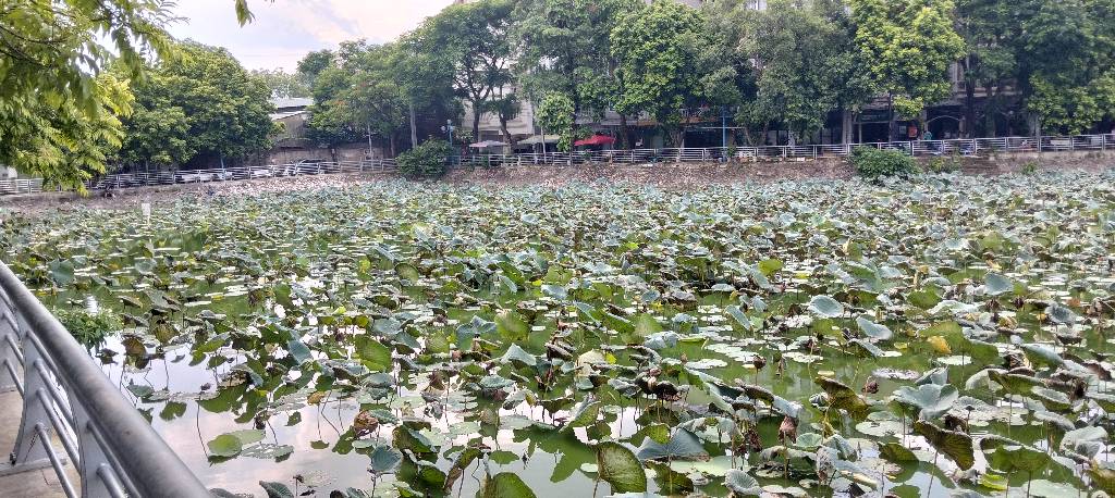 Bán nhà Phan Đình Giót - diện tích 34m2 5 tầng - Mặt ngõ thông ô tô - giá 8,4 tỷ