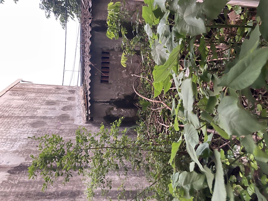 Bán nhà Yên Lương - diện tích 31m2 1 tầng - ô tô đỗ cửa - giá 4,6 tỷ