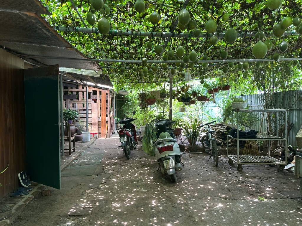 Bán nhà Thúy Lĩnh - diện tích 456m2 1 tầng - Đất nông nghiệp - giá 13,7 tỷ