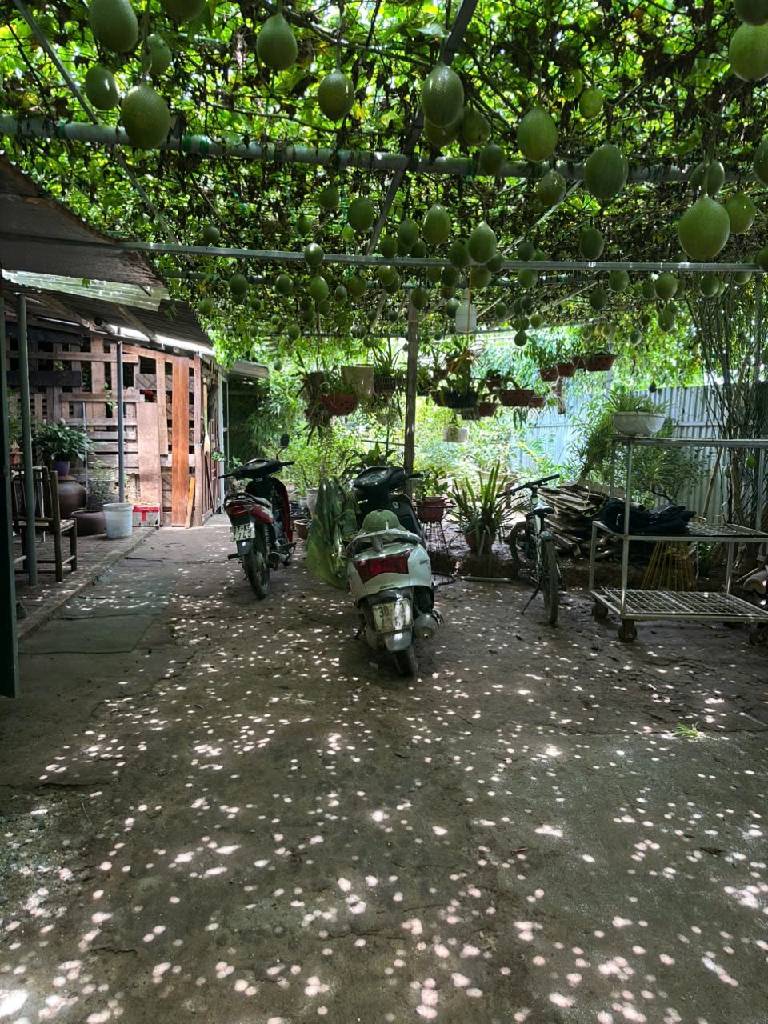 Bán nhà Thúy Lĩnh - diện tích 456m2 1 tầng - Đất nông nghiệp - giá 13,7 tỷ