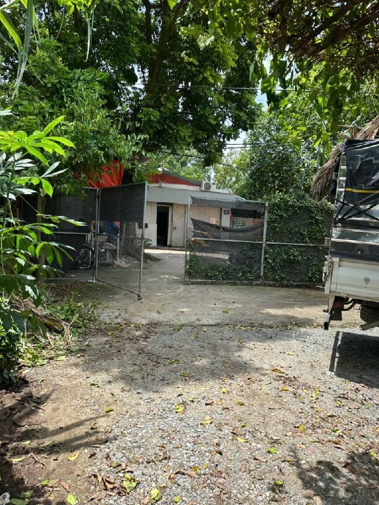 Bán nhà Thúy Lĩnh - diện tích 456m2 1 tầng - Đất nông nghiệp - giá 13,7 tỷ