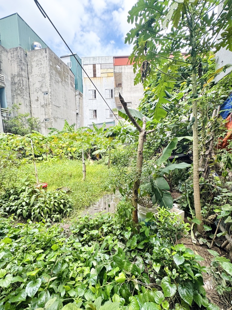 Bán nhà Nguyễn Khoái - diện tích 58m2 1 tầng - Ngõ ô tô tránh - giá 7,8 tỷ