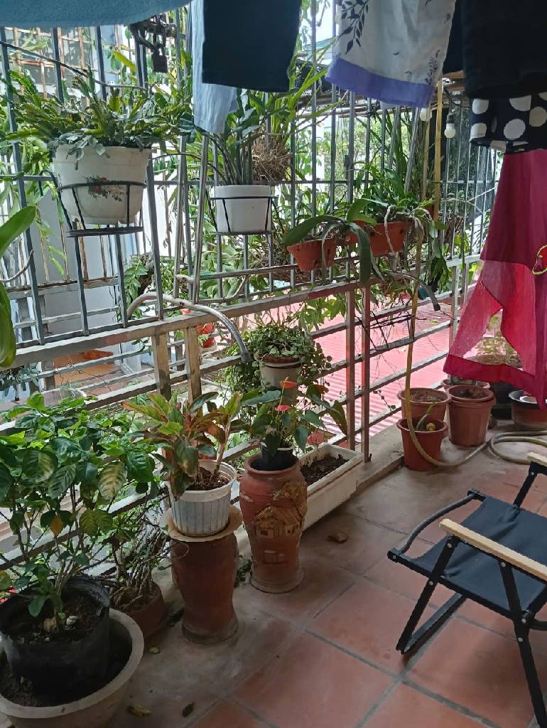 Bán nhà Thúy Lĩnh - diện tích 31,3m2 2 tầng - ô tô đỗ cổng - giá 5,9 tỷ