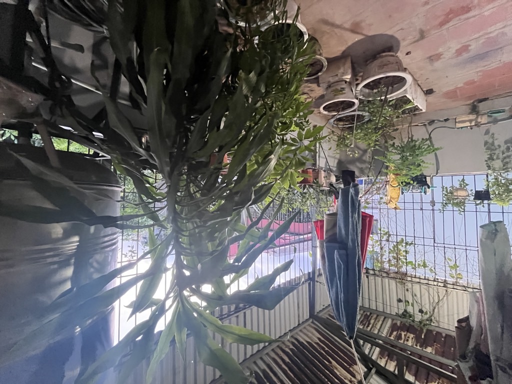 Bán nhà Nguyễn Đức Cảnh - diện tích 43m2 4 tầng - Nhà đẹp, sổ vuông - giá 9,5 tỷ