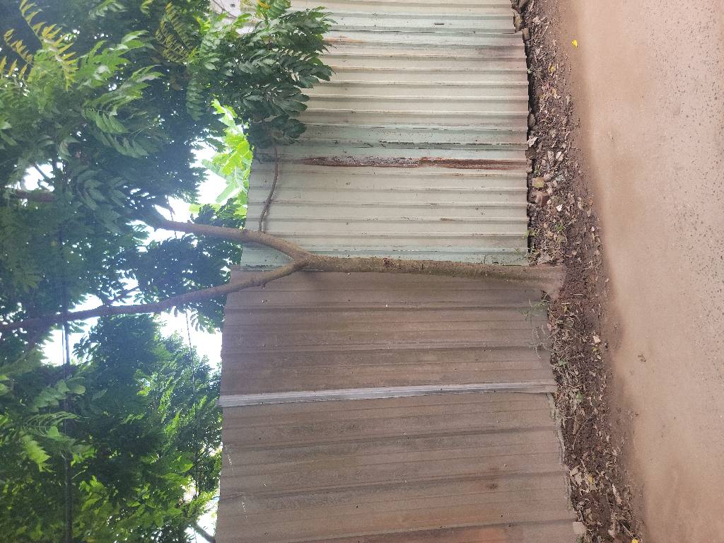 Bán nhà Thanh Lân - diện tích 150m2 1 tầng - Ô TÔ TRÁNH - giá 2,4 tỷ