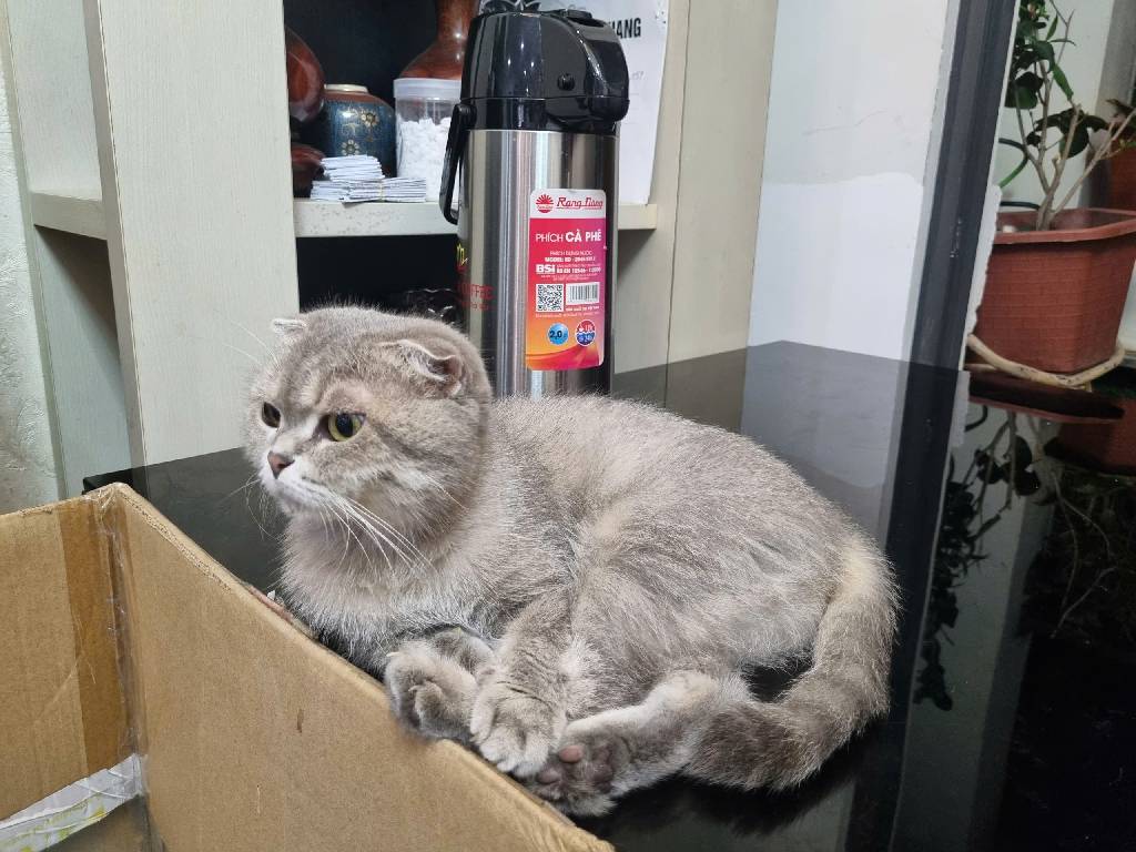 Bán nhà Tố Hữu - diện tích 105m2 17 tầng - Chung cư cao cấp - giá 9,5 tỷ