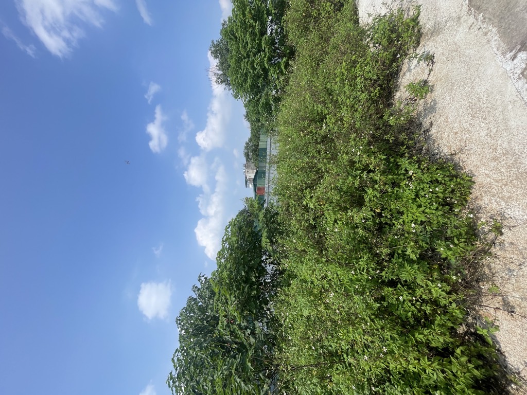 Bán nhà Vĩnh Hưng - diện tích 690m2 1 tầng - Ô TÔ TẢI VÀO TẬN TRONG - giá 21 tỷ