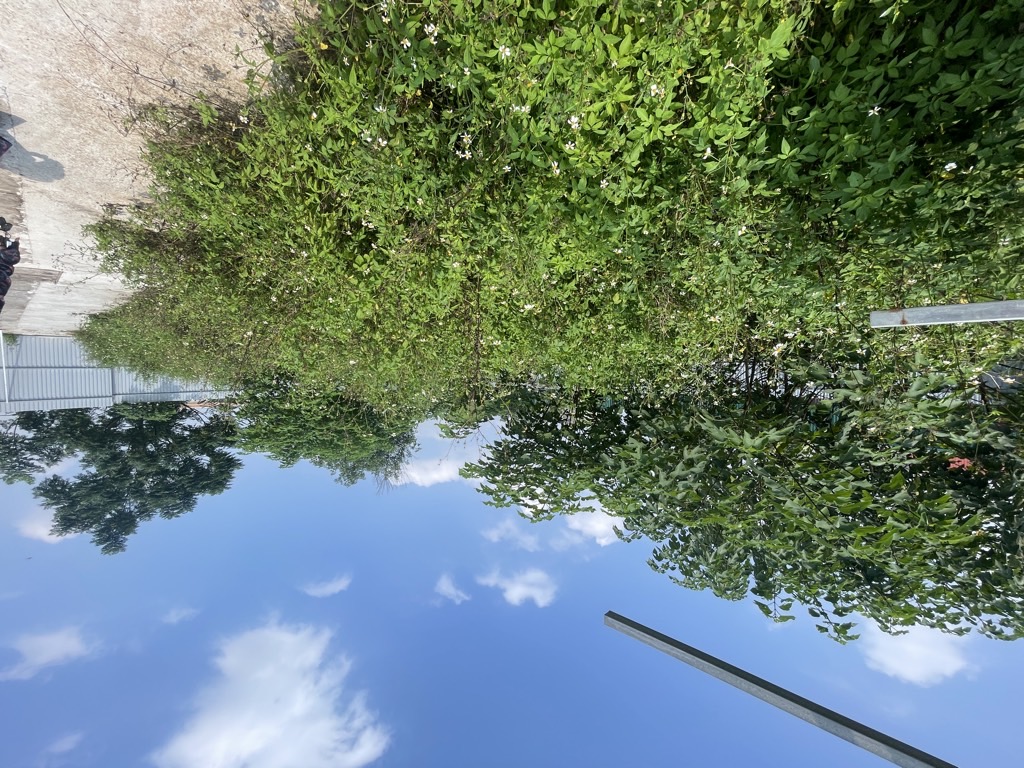 Bán nhà Vĩnh Hưng - diện tích 690m2 1 tầng - Ô TÔ TẢI VÀO TẬN TRONG - giá 21 tỷ