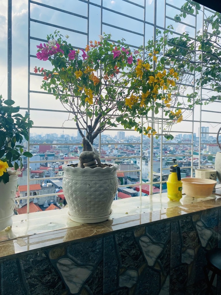 Bán nhà Lạc Trung - diện tích 97.3m2 10 tầng - Chung cư hiếm nhà bán - giá 7,95 tỷ