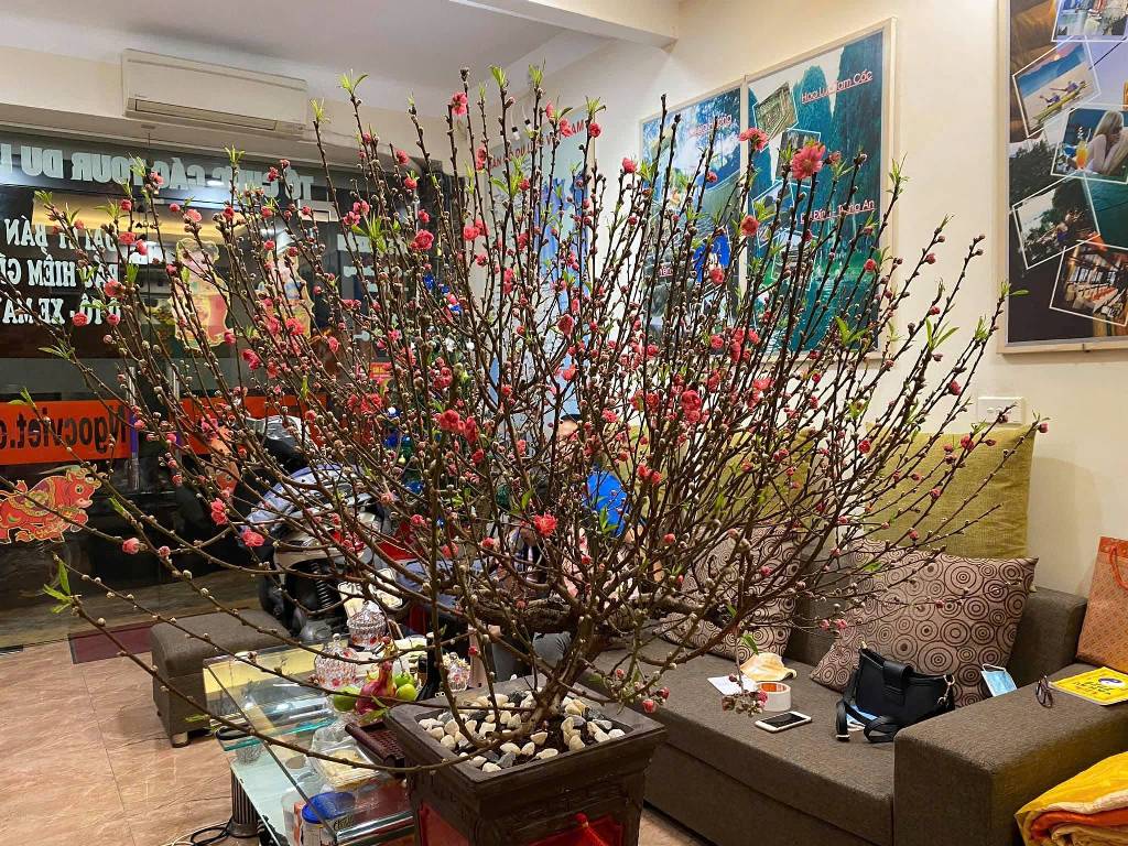 Bán nhà Bùi Ngọc Dương - diện tích 41m2 1 tầng - MẶT PHỐ - Ô TÔ TRÁNH - giá 4,8 tỷ