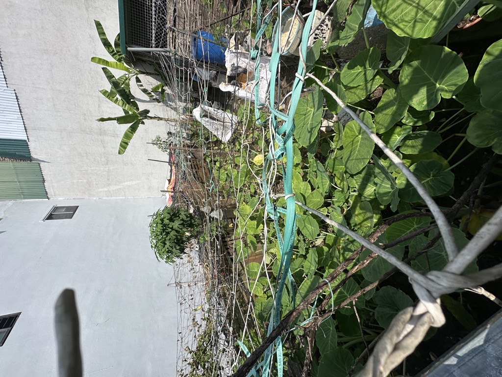 Bán nhà Vĩnh Hưng - diện tích 42.2m2 1 tầng - gần hồ - giá 3,25 tỷ