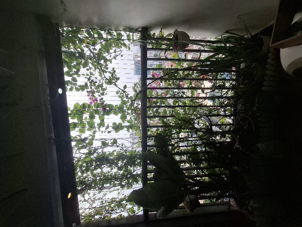 Bán nhà Minh Khai - diện tích 98.2m2 1 tầng - Căn góc 3 ngủ - giá 11,5 tỷ